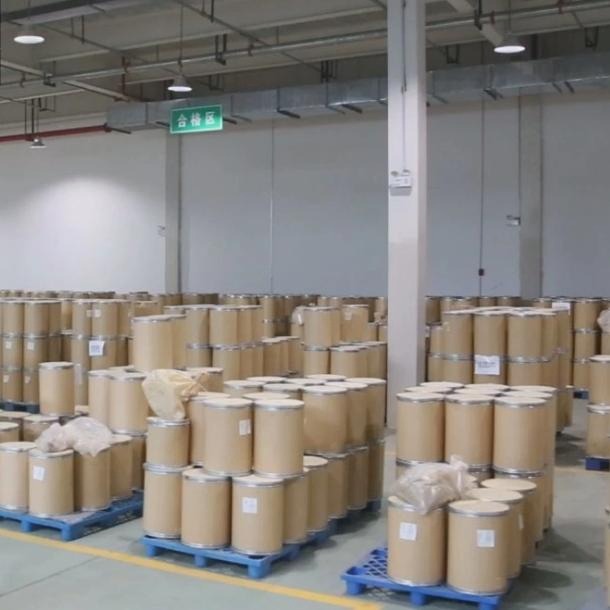 Fabricante Fornece Extrato de Cogumelo de Alta Qualidade para Ingredientes de Saúde