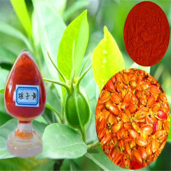 Pó de extrato de gardenia amarela corante alimentar