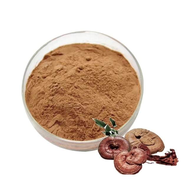 Fabricante Fornece Extrato de Cogumelo de Alta Qualidade para Ingredientes de Saúde