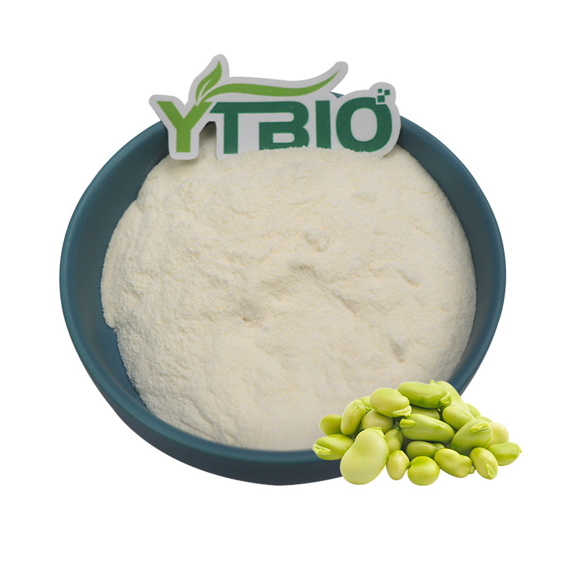 Pó de Proteína de Fava de Alta Pureza 80% Proteína, Não OGM, À Base de Plantas, Livre de Alérgenos