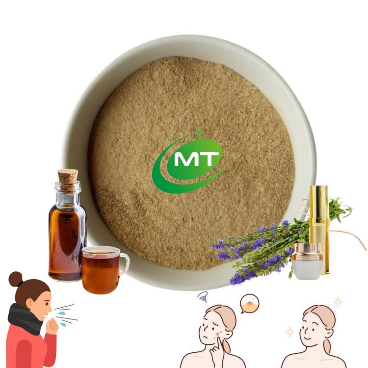 Extrato de Hyssop Herbal Natural Fragrante Tratamento de Acne Suporte Respiratório Pó de Extrato de Hyssop