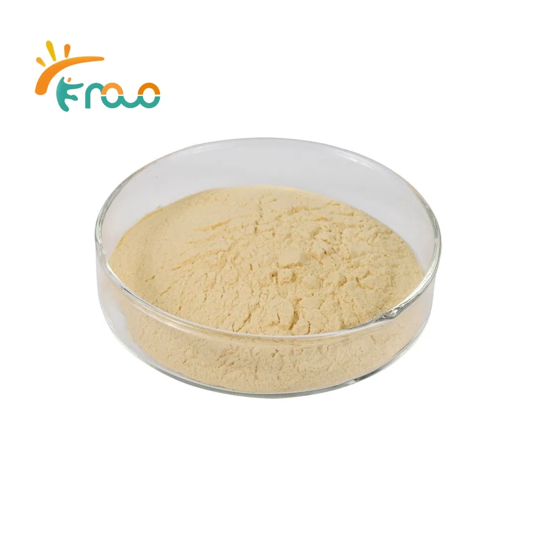 Proteína Vegana Não-OGM Pó de Feijão Mungo Orgânico Puro Natural para Aditivos Alimentares