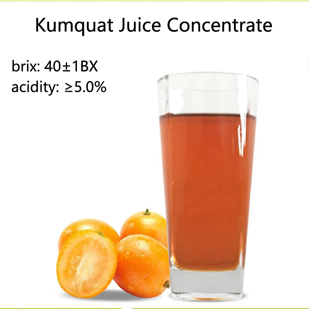 Suco Concentrado de Laranja Purê de Laranja Concentrado de Suco de Kumquat Bebida