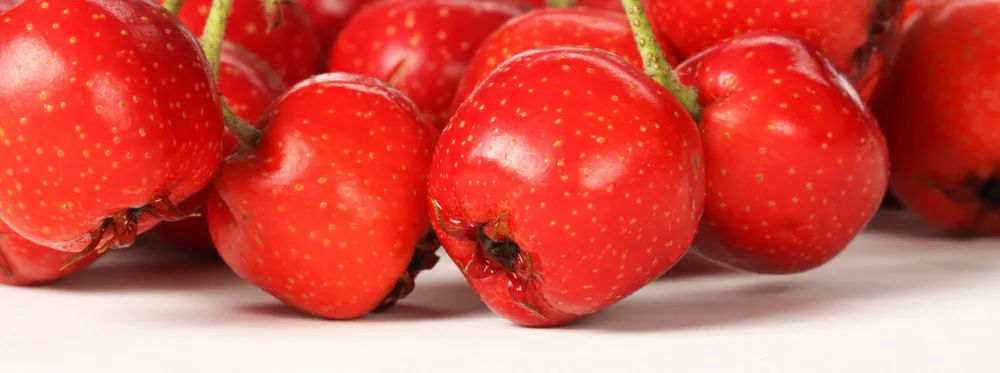 Suco Concentrado de Hawthorn de Alta Qualidade