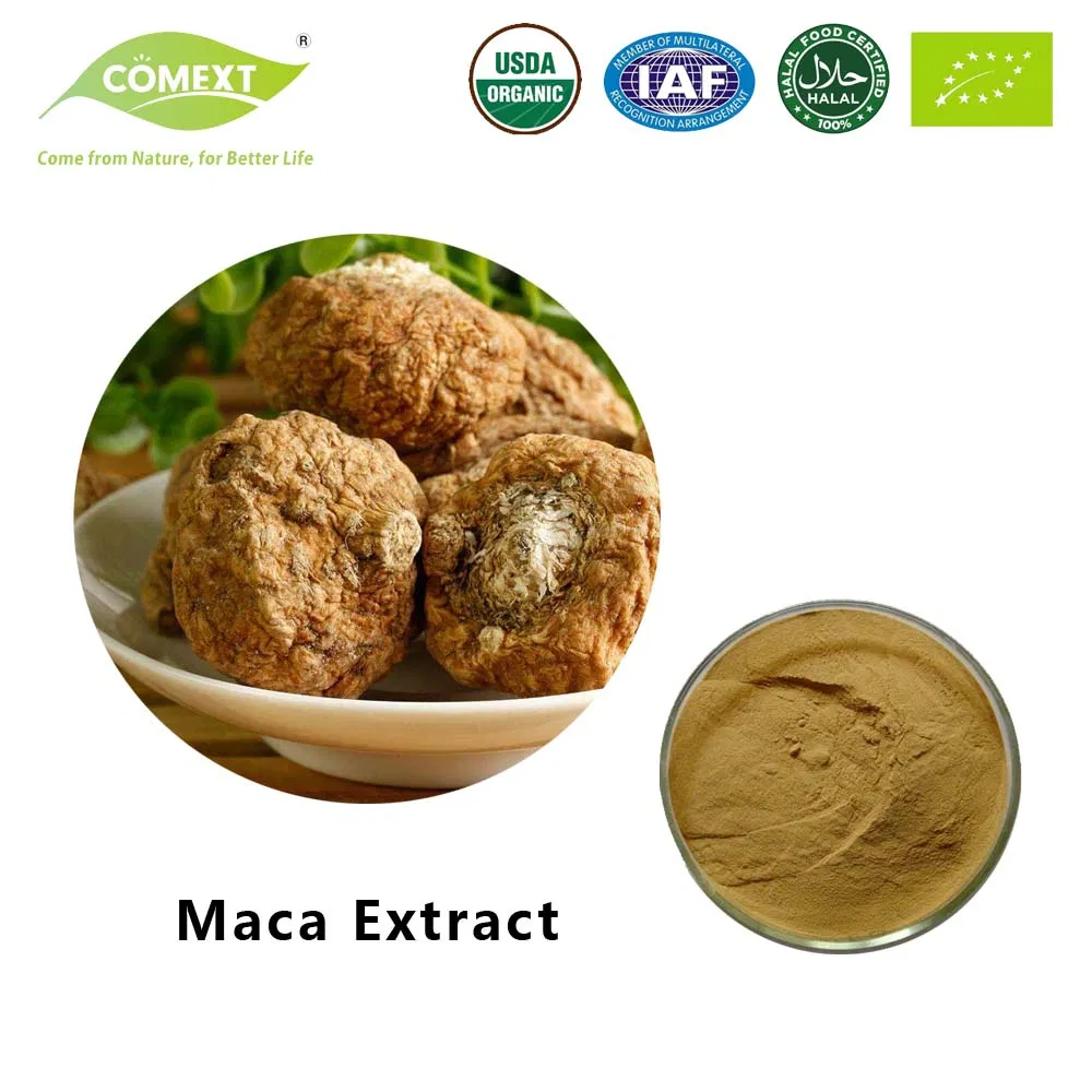 Suplemento de Saúde Comext 100% Suplemento de Saúde Puro Halal Kosher Extrato Herbal Pó de Raiz de Maca Convencional com o Melhor Preço