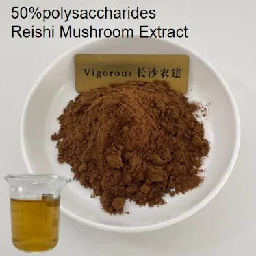 Ganoderma Lucidum de alta qualidade