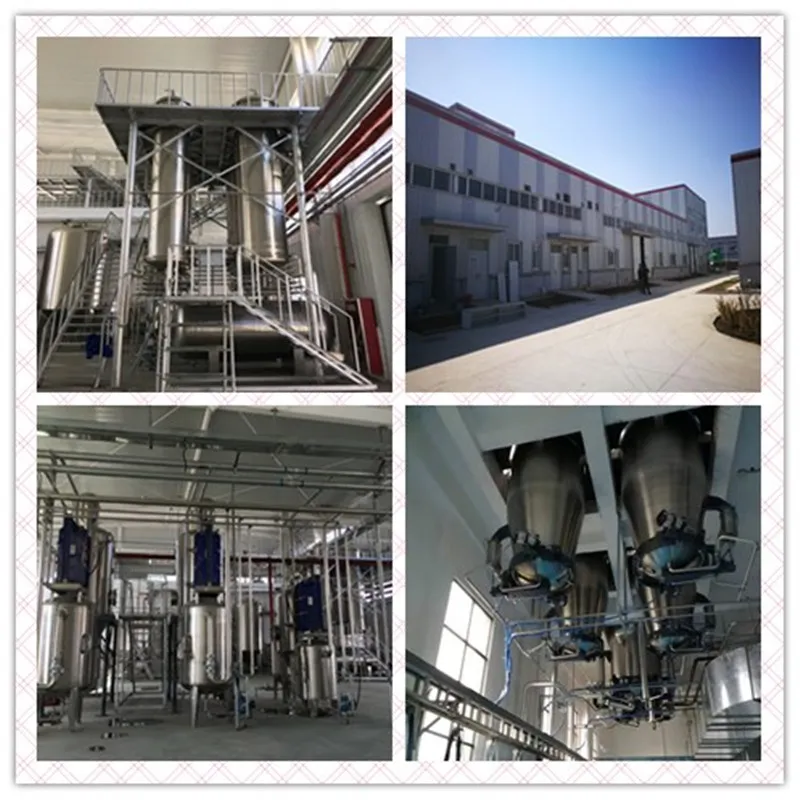 Coriolus Versicolor Extract 1