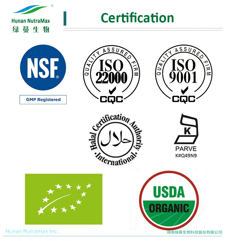 Certificação 2