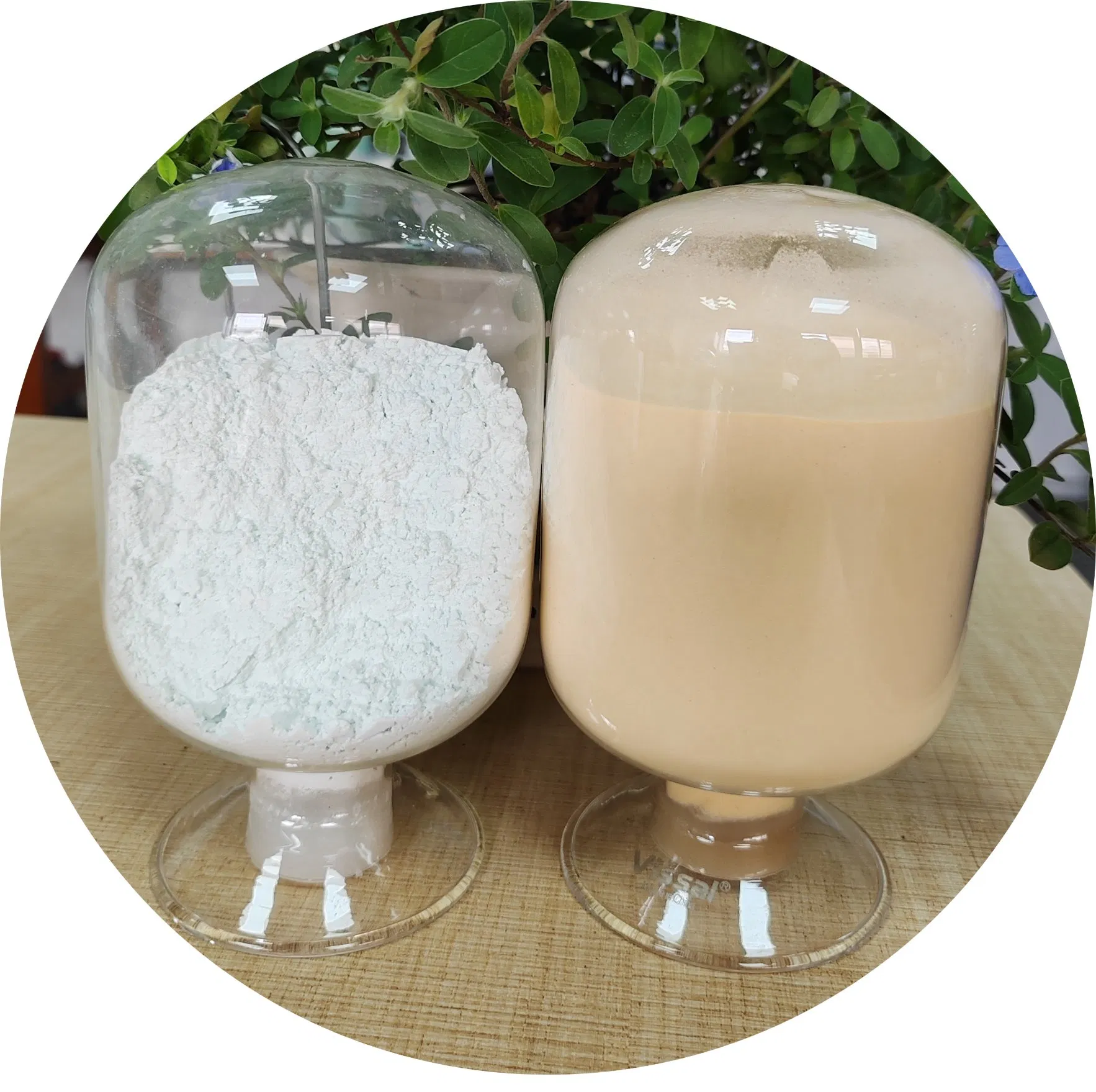 Pó de Óleo de Coco Premium com Vitaminas Essenciais para Bebidas