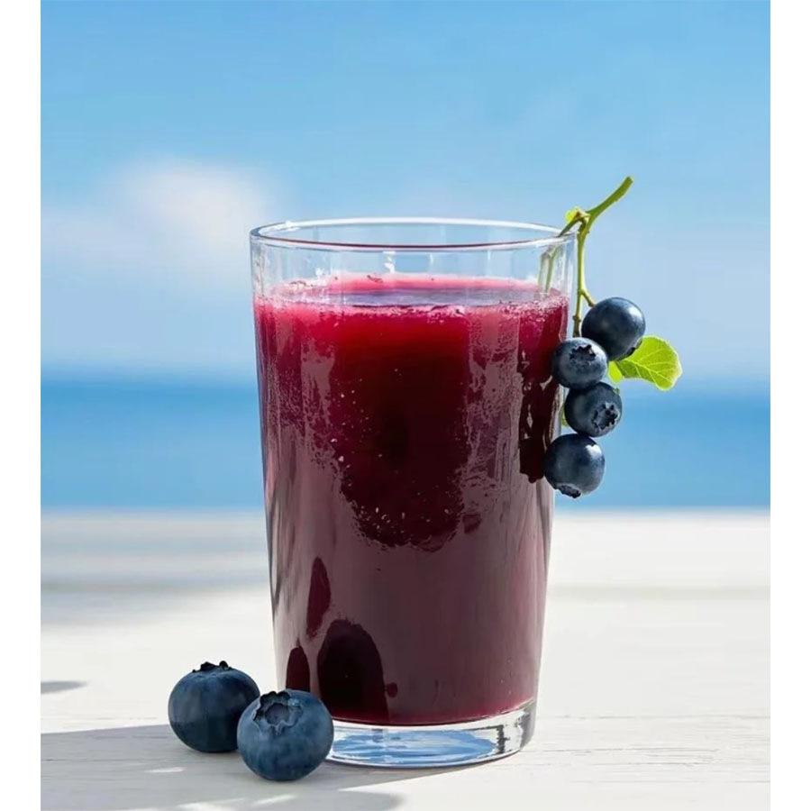 Suco concentrado de mirtilo orgânico puro, rico em nutrientes, prensado a frio em grande quantidade