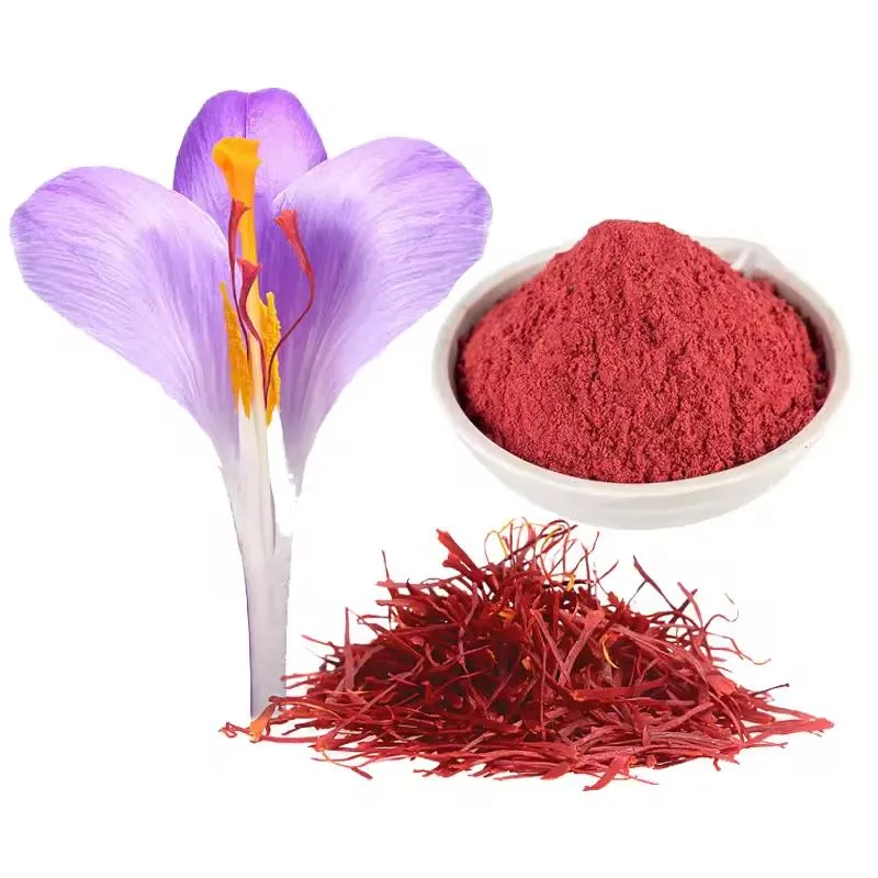 Açafrão Negin Flor