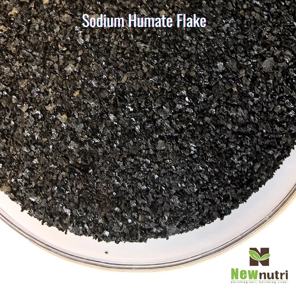 Flocos de Ácido Húmico Derivado de Minerais para Raízes Mais Fortes