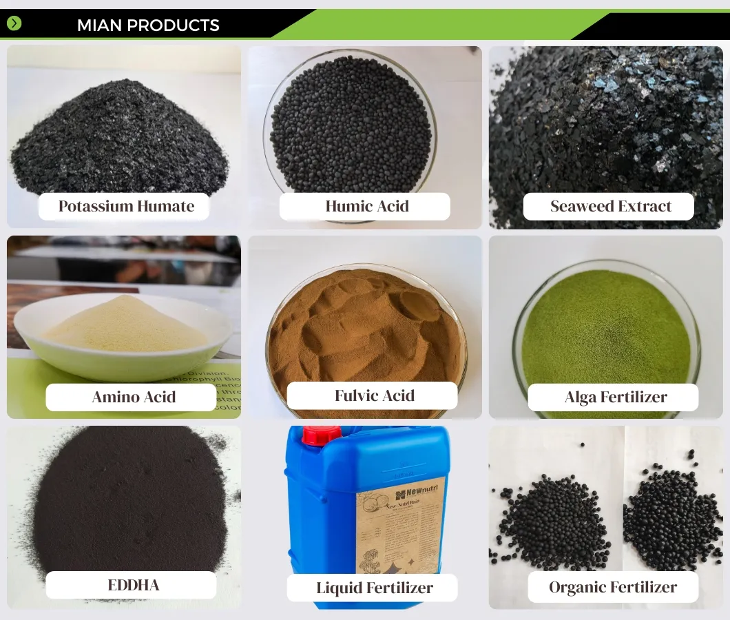 Produtos Principais