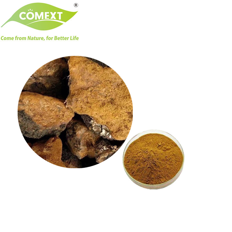 Produto de Saúde da Fábrica Comext para Antioxidante Usado em Extrato de Cogumelo Farmacêutico