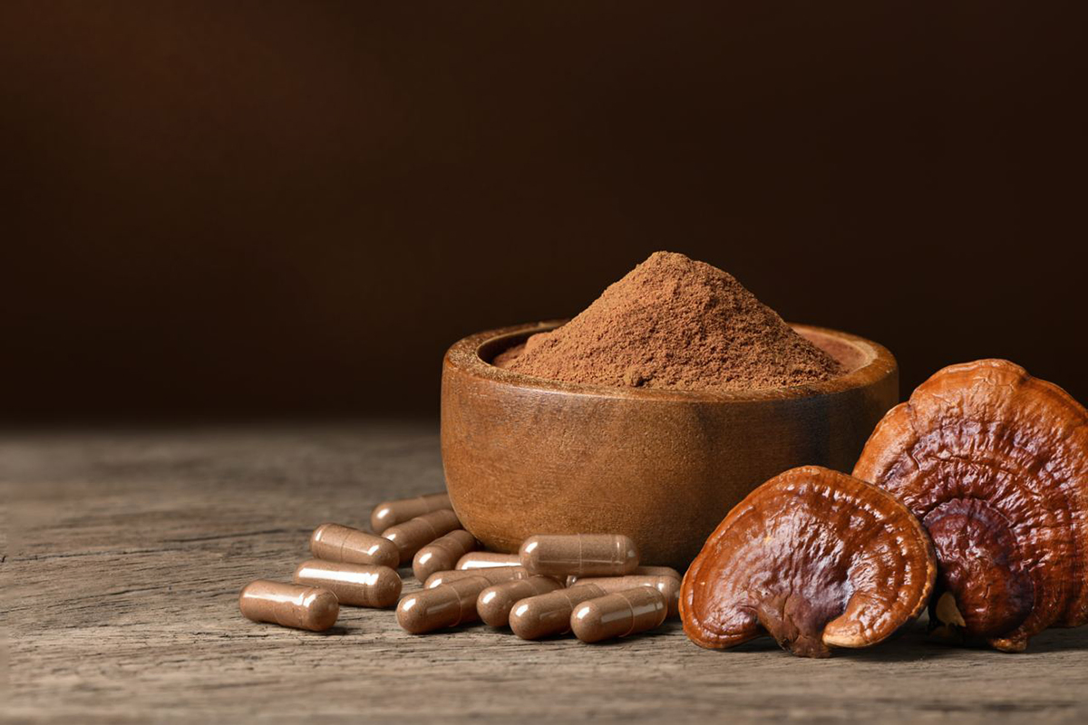 Extrato de Cogumelo Reishi de Alta Potência Melhorando a Imunidade e o Suporte Antioxidante