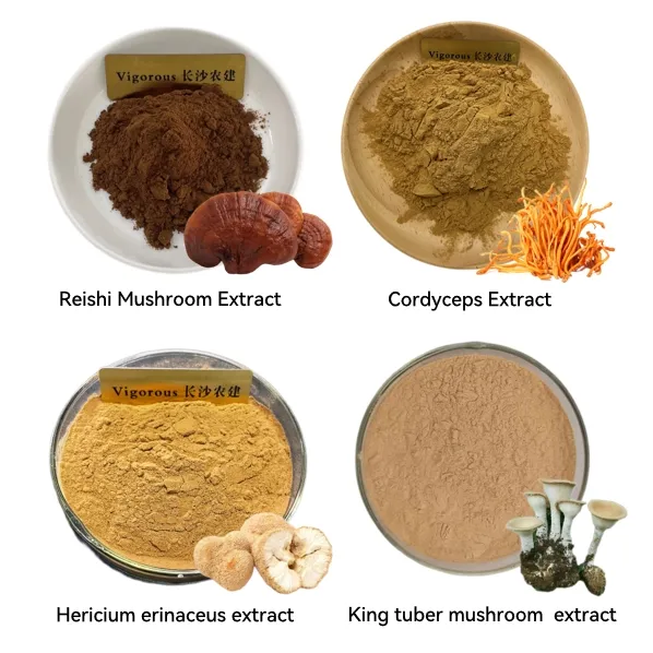 Pó de extrato de cogumelo Reishi