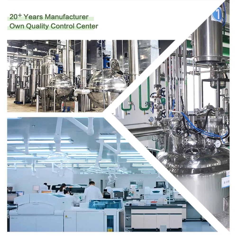 15+Years Fabricante Fornece Extratos de Cogumelos para Ingredientes de Saúde