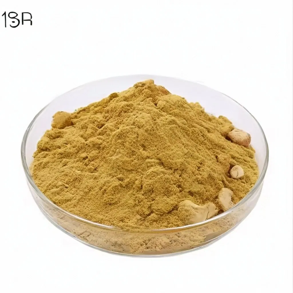 Extrato Premium de Cogumelo Lion's Mane (Hericium erinaceus) -10: 1 Extrato de Cogumelo Concentrado