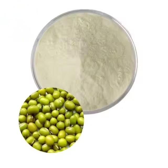 Suplemento Alimentar Proteína Vegana Pó de Proteína de Feijão Mungo Verde