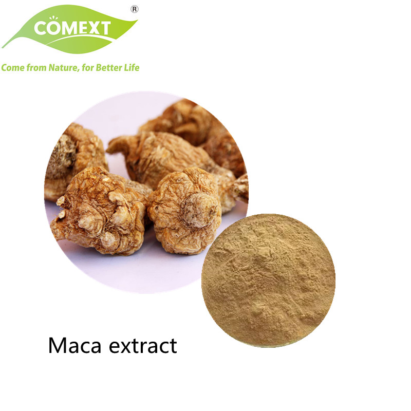 Suplemento de Saúde Comext 100% Suplemento de Saúde Puro Halal Kosher Extrato Herbal Pó de Raiz de Maca Convencional com o Melhor Preço