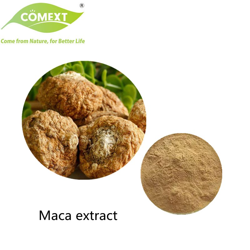 Suplemento de Saúde Comext 100% Suplemento de Saúde Puro Halal Kosher Extrato Herbal Pó de Raiz de Maca Convencional com o Melhor Preço