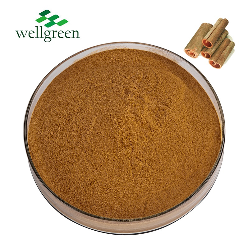 Extrato Herbal Chinês Polifenóis de Cássia Pau de Ceylon Casca Canela Orgânica em Pó
