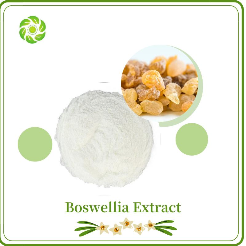Extrato de Planta de Bem-Estar Mundial Alimento Saudável Ácido Boswellico 65% 90% 95%/Boswellia Extrato