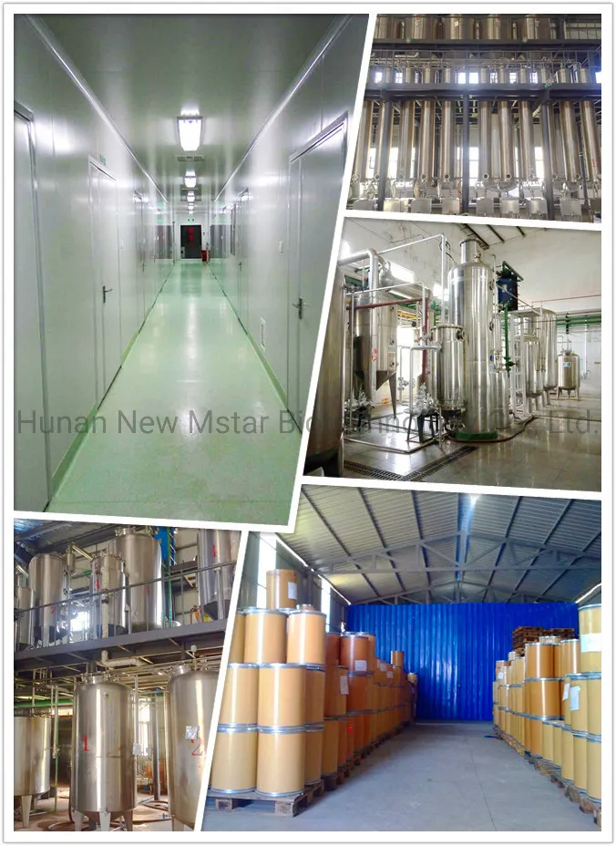 Laboratório 2