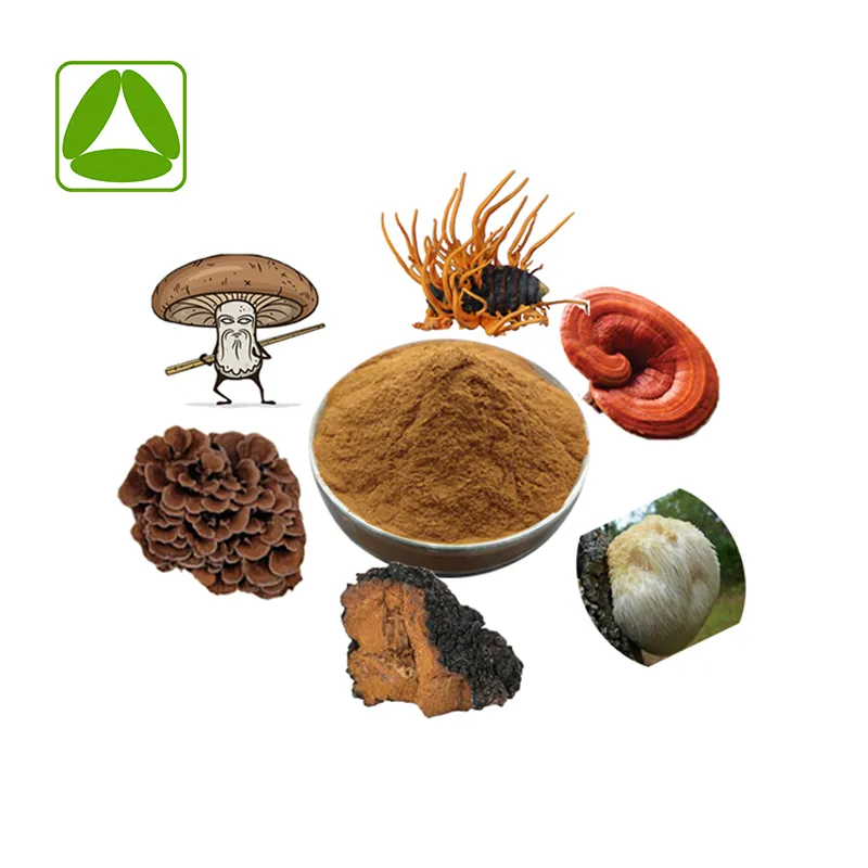 6 em 1 Mistura de Pó de Extrato de Cogumelo