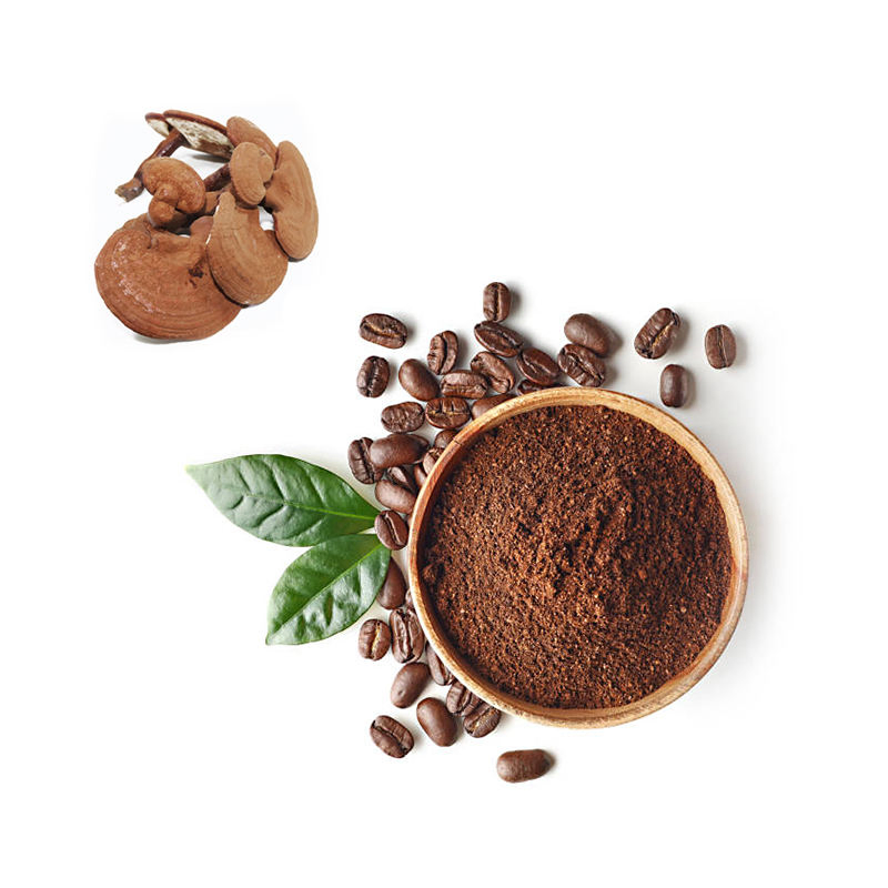 Pó de café instantâneo mocha liofilizado em grande quantidade extrato de ganoderma lucidum seco por spray