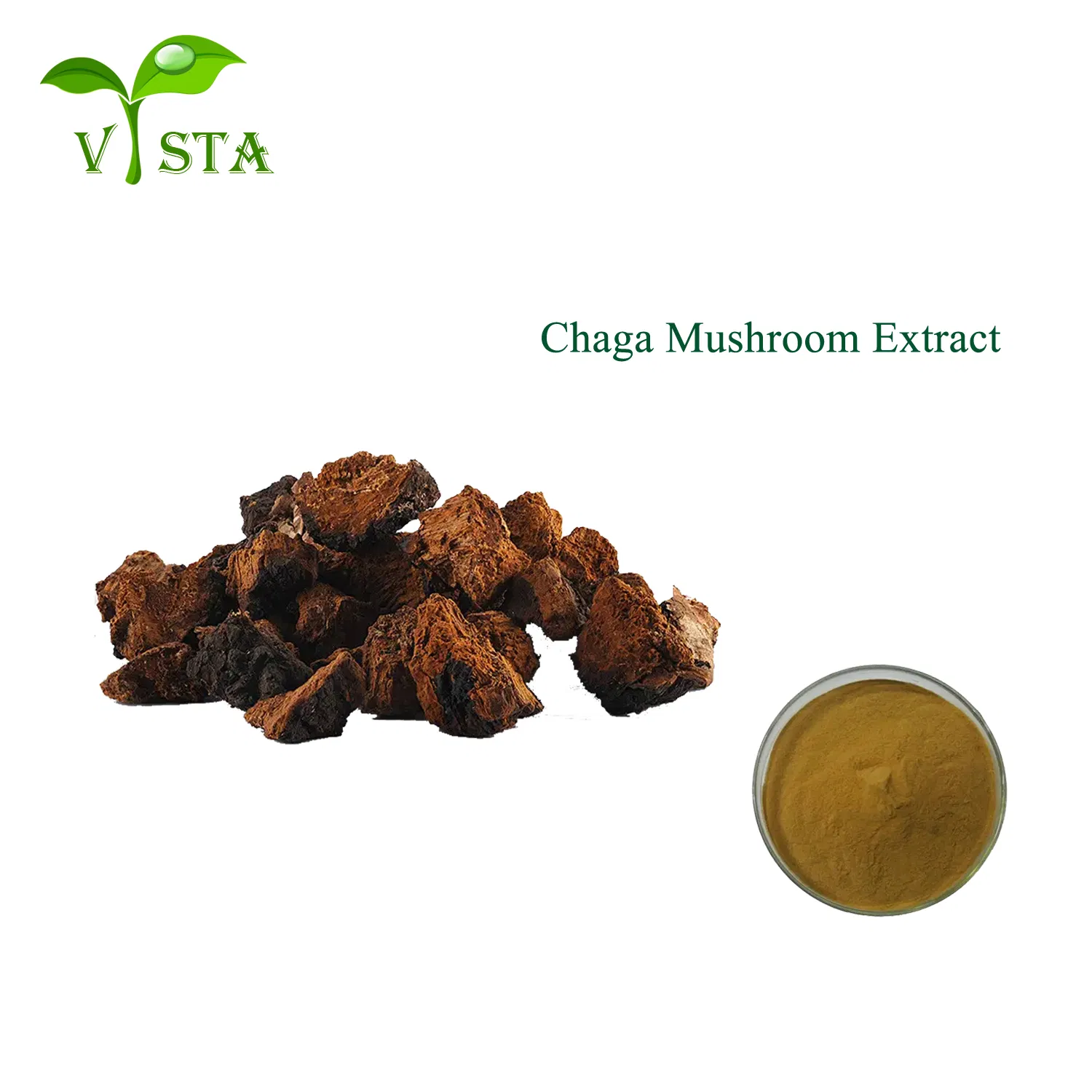 Extrato de Planta de Alta Qualidade Extrato de Chaga Pó de Cogumelo Chaga Extrato de Cogumelo Chaga