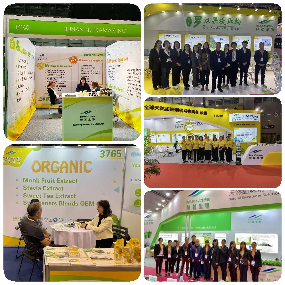 Exposição 1