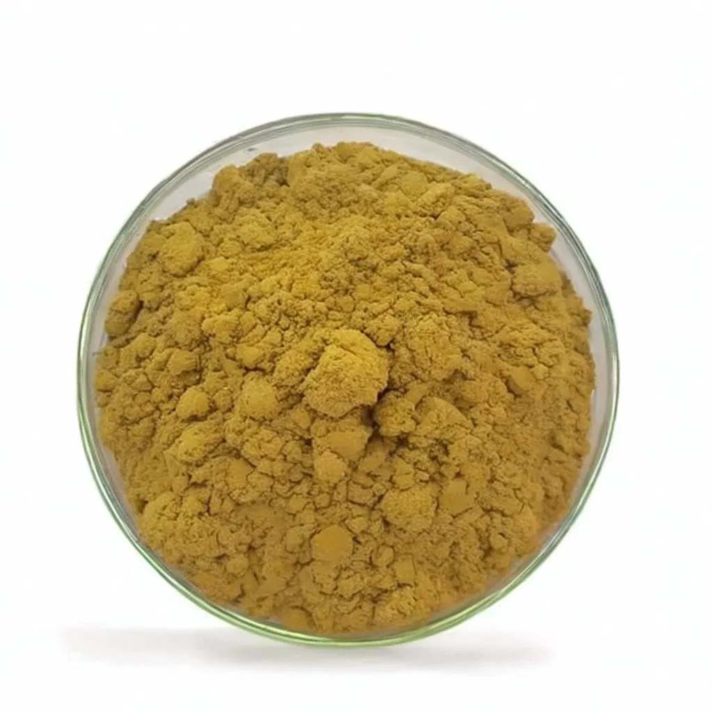 Extrato Premium de Cogumelo Lion's Mane (Hericium erinaceus) -10: 1 Extrato de Cogumelo Concentrado