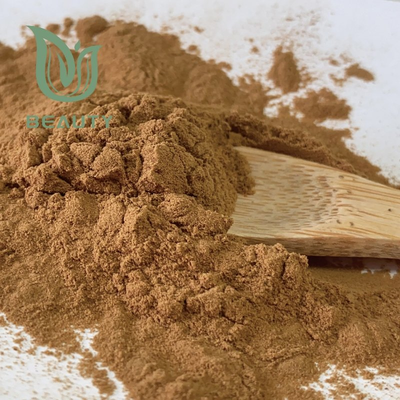 Extrato em Pó de Cogumelo Turkey Tail Orgânico 30% Polissacarídeos - Suporte Imunológico Certificado GMP a Granel