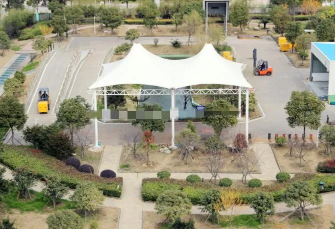 Electric Forklift View 3