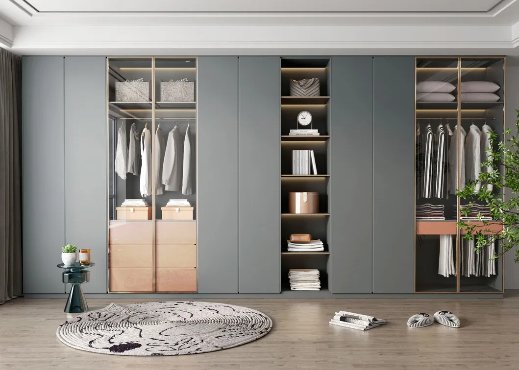 Modern Walk in Closet 1