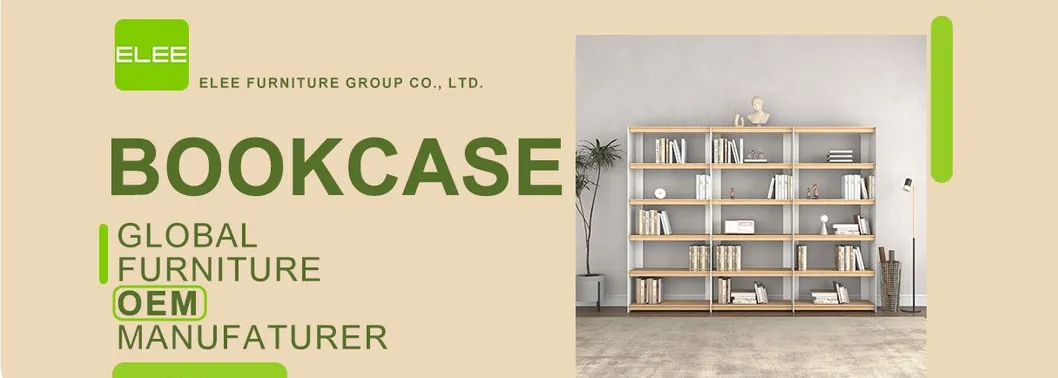 Multi-Functional Bookcase