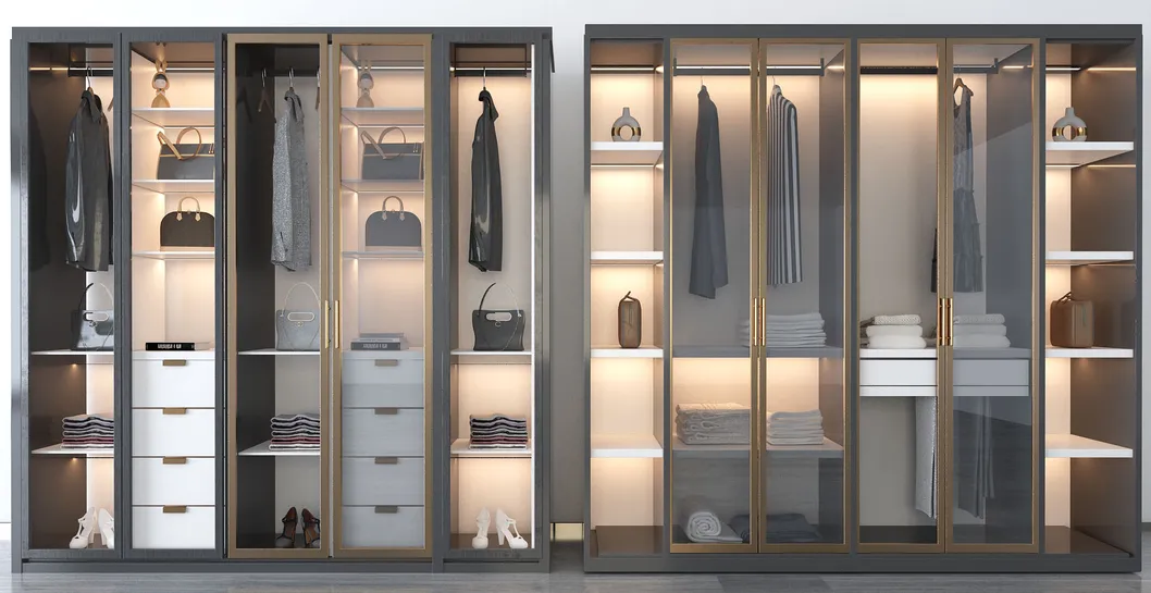 Modern Walk in Closet 3