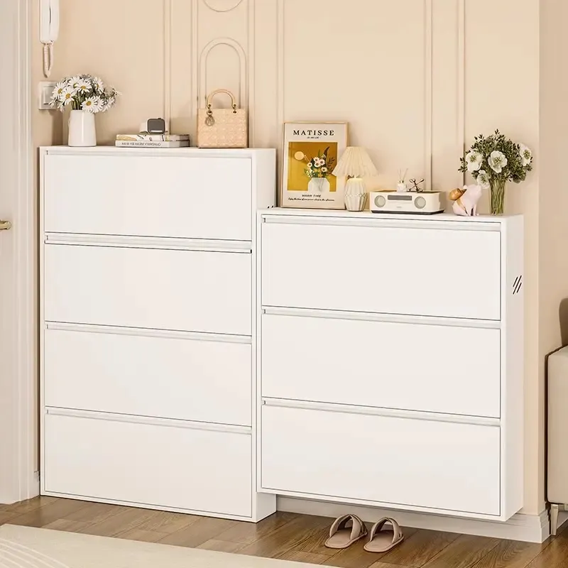 Steel Shoe Shelf Cabinet