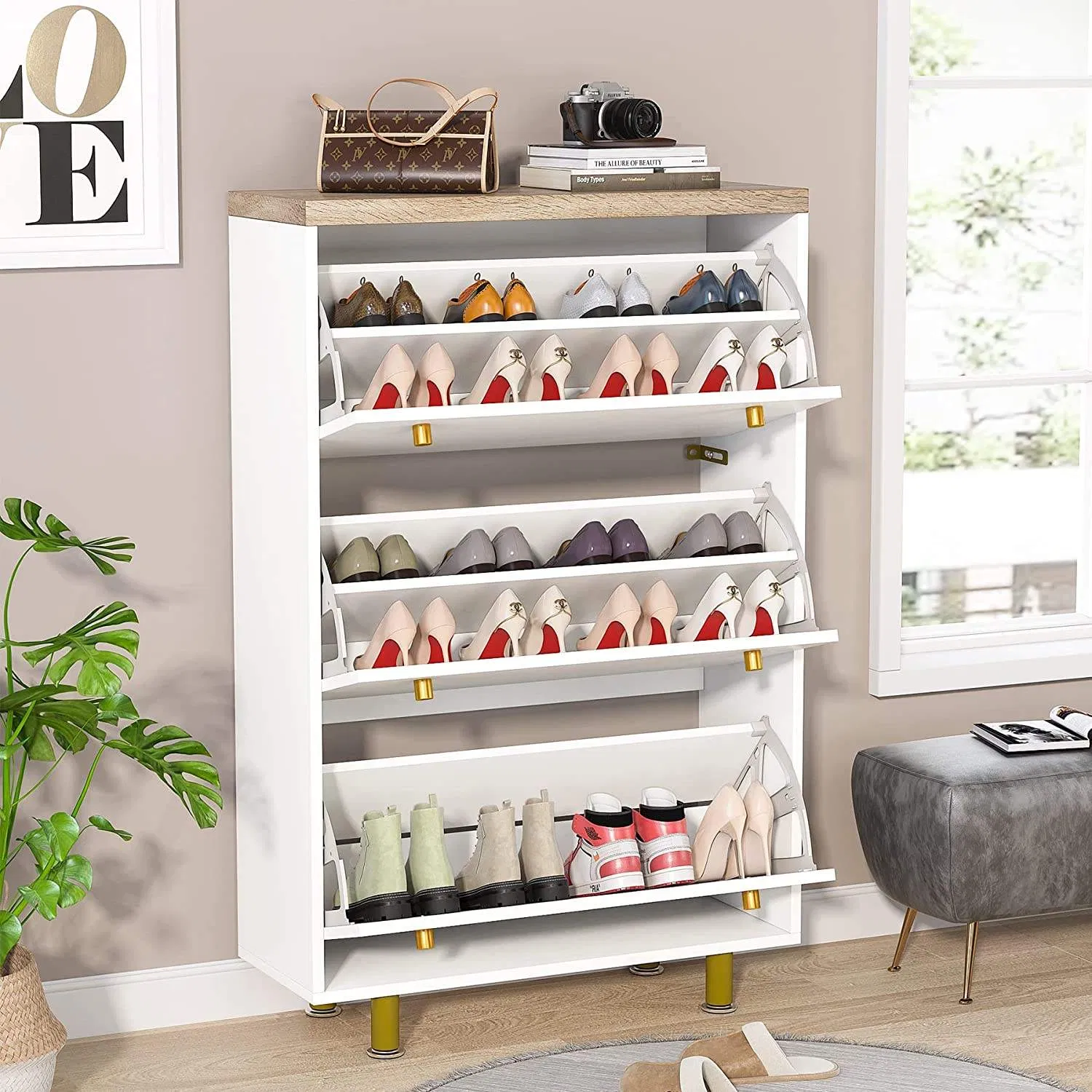 Modern Shoe Rack Cabinet, Easy Assembly Entryway Storage Organizer for Living Room