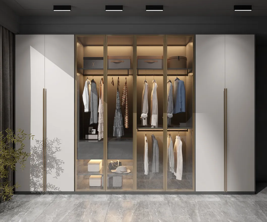 Modern Walk in Closet 6