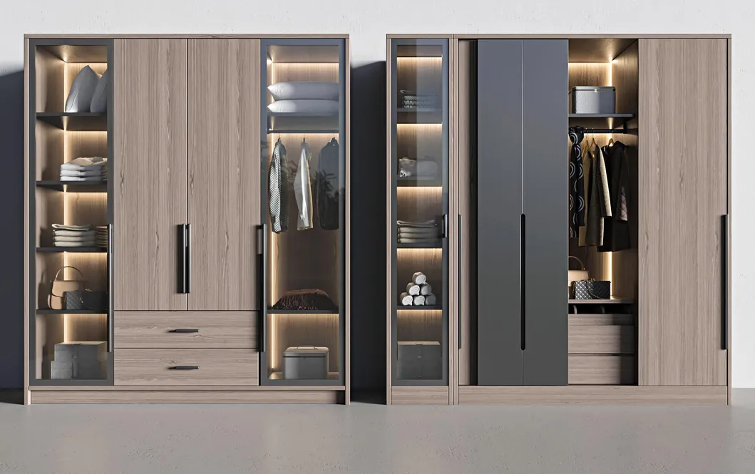Modern Walk in Closet 4