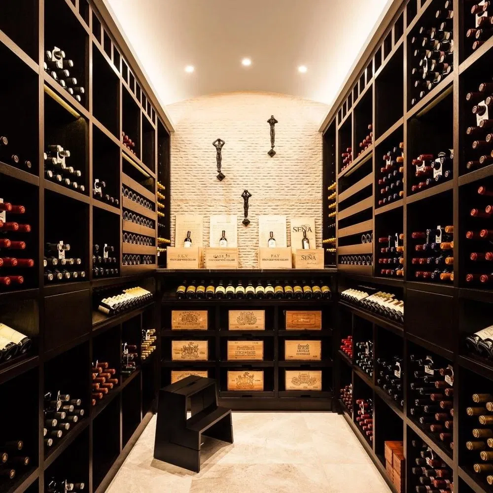 Stainless Steel Walk-in Wine Cellar with High-End Customizable Options
