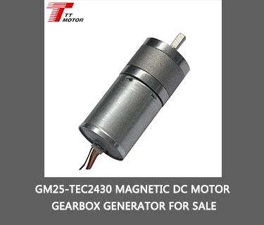China Supplier 25mm Geared Motor Dc 12v 24v Micro Bldc Motor