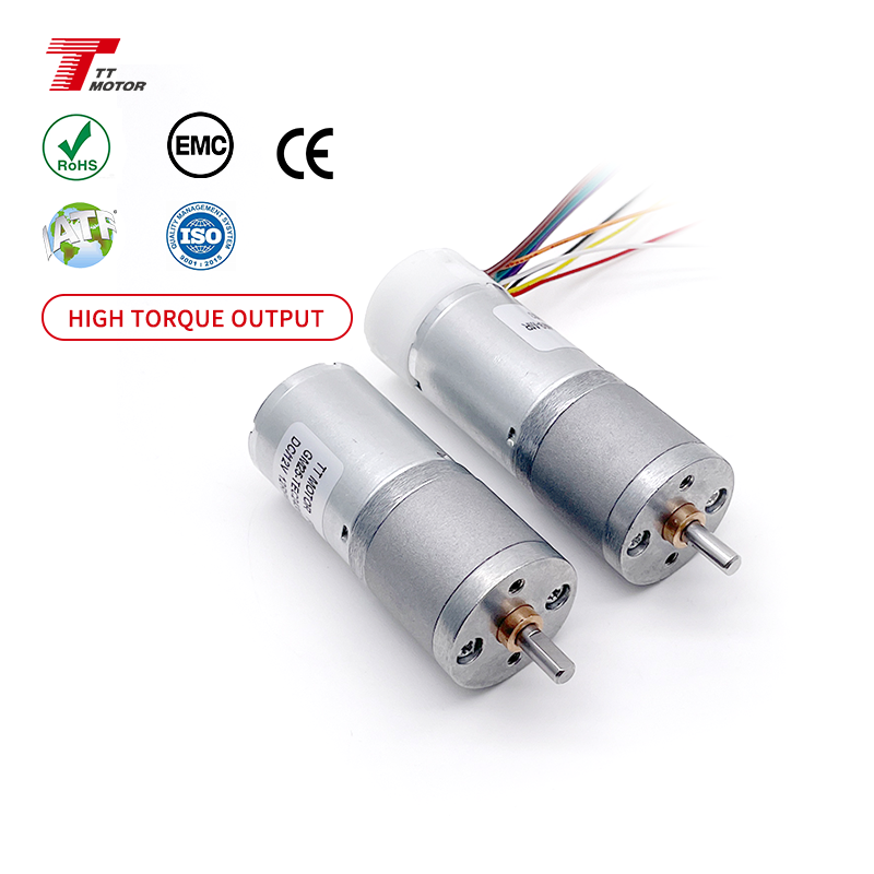 12v 24v Electric Brushless Motor 25mm Dc Gear Motor for Pet Supplies