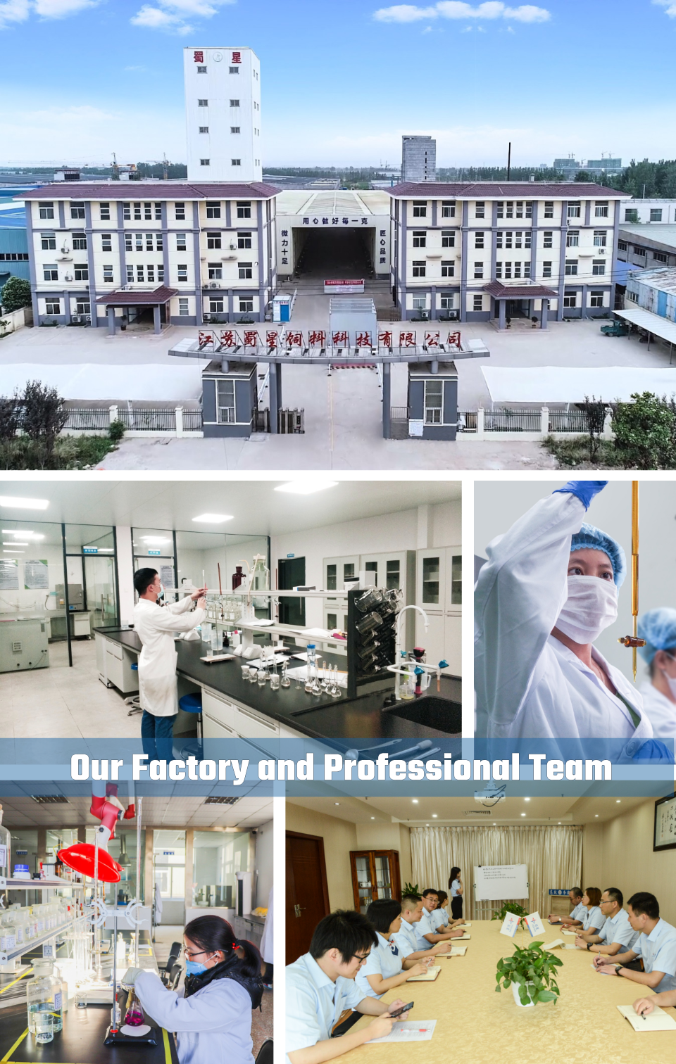 Professional Team and Facility