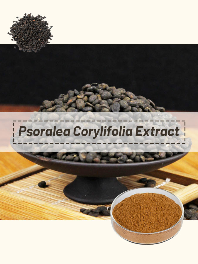 High Quality Bakuchiol Extract Powder Feed Additive Natural Plant Extract ODM Available