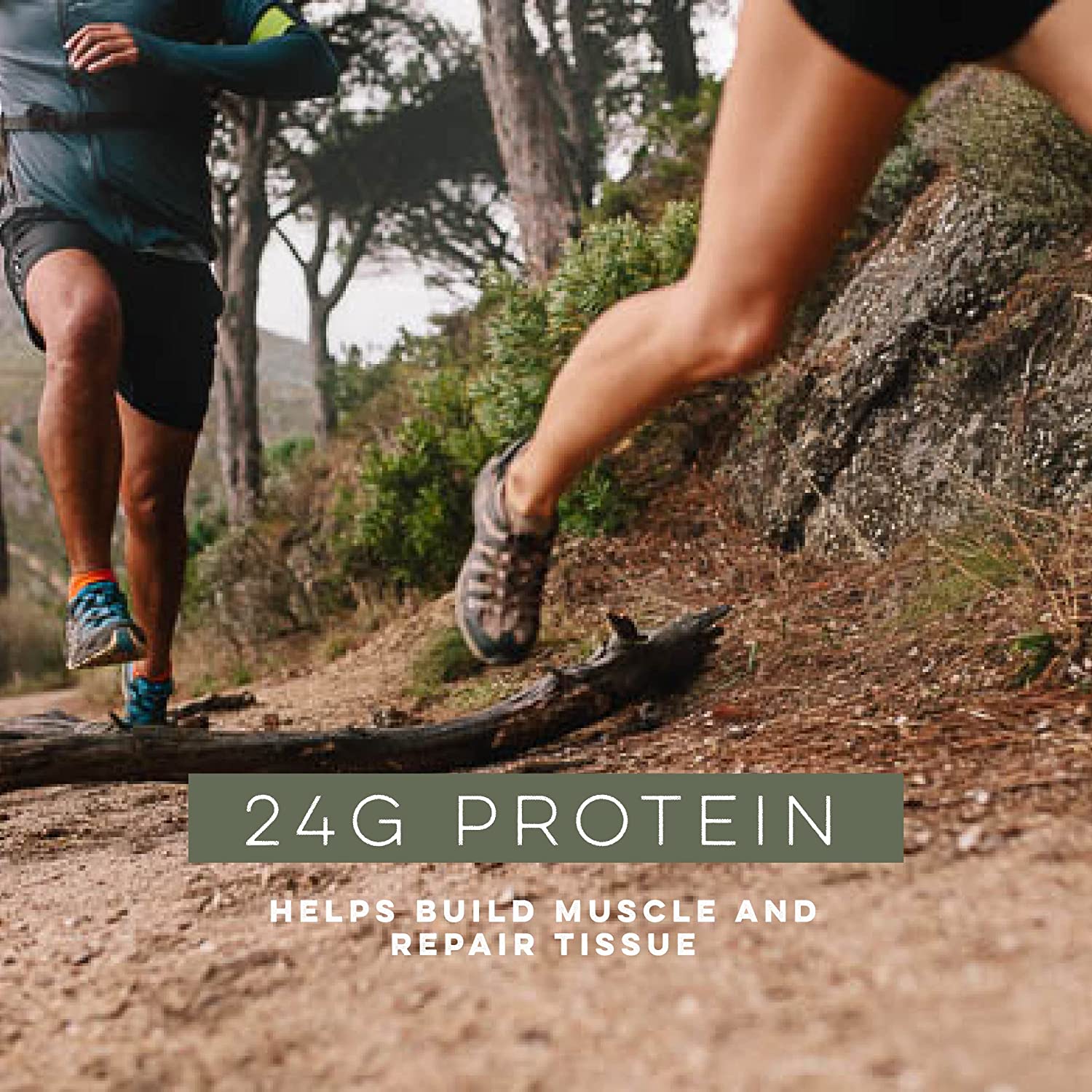 Whey Protein Concentrate Powder Gallery 4