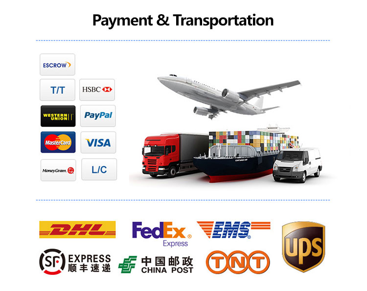 Shipping and Logistics