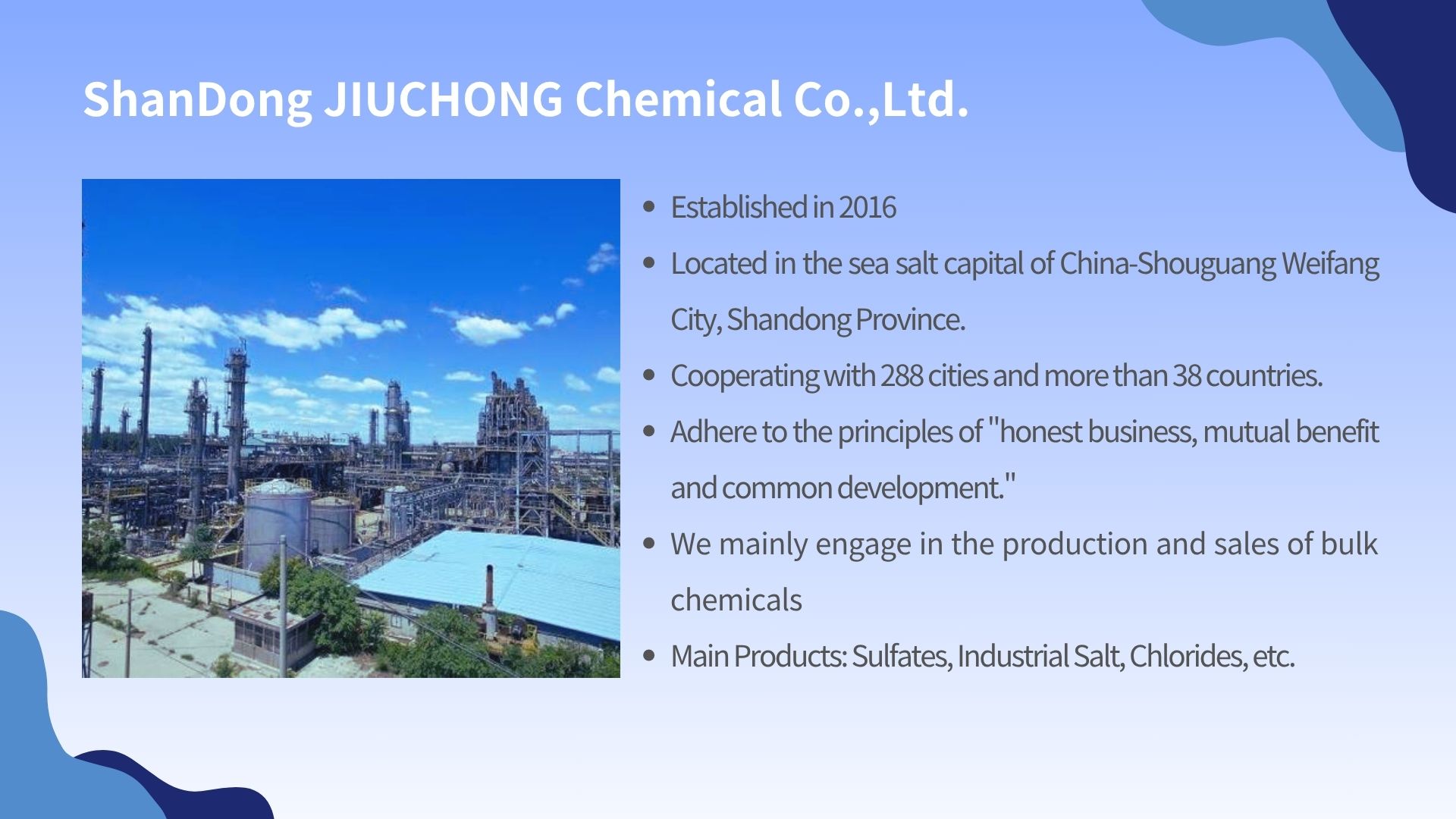 Company Profile
